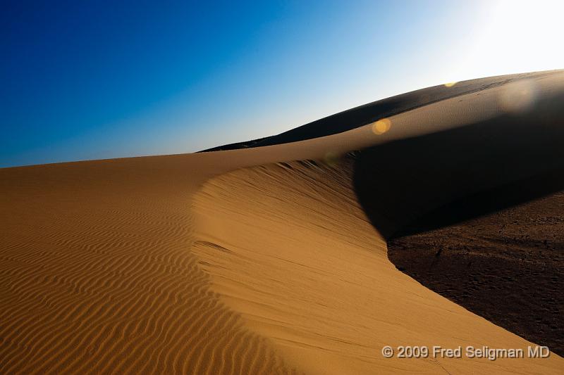 20090603_164715 D3 X1.jpg - Dunes, Skeleton Coast Camp